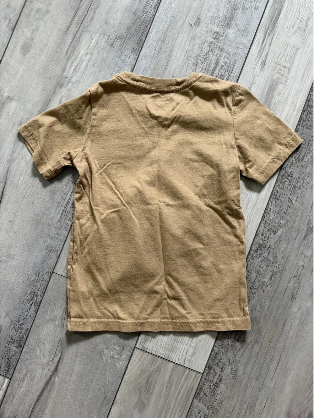 Gap Disney Mickey and Friends Enjoy the outdoors graphic tee size 5T